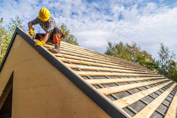 Best Roof Gutter Cleaning  in Blue Jay, OH